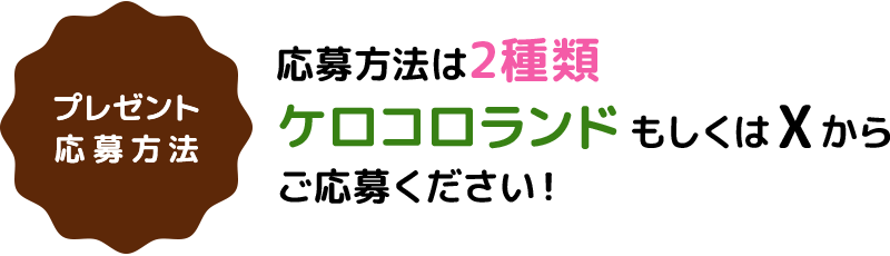 プレゼント応募方法
