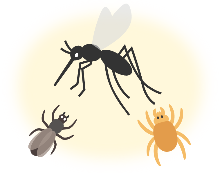 蚊だけじゃない 夏場に気を付けたい虫さされ コロちゃん先生の役立つ話 Vol 36 コーワのケロコロランド