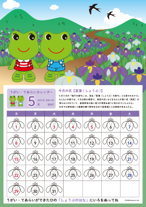 5月カレンダー(花：菖蒲)